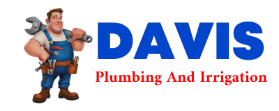 Trusted plumber in FORNEY